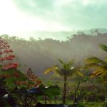 Qué ver en Georgetown – El paraíso natural en la ciudad de Guyana
