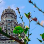 Qué ver en Montevideo, la hermosa capital de Uruguay