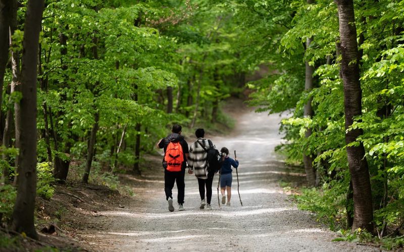 Lee más sobre el artículo Senderismo en familia: Rutas y consejos para disfrutar con los más pequeños