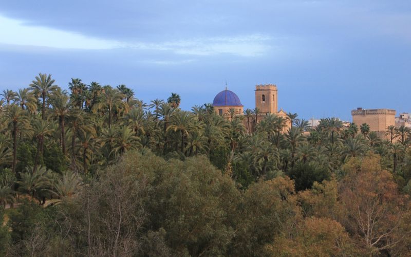 Lee más sobre el artículo Elche: La oportunidad del Mediterráneo para turistas e inversores inmobiliarios