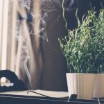 Inciensos del mundo: Aromas que transportan a distintos destinos