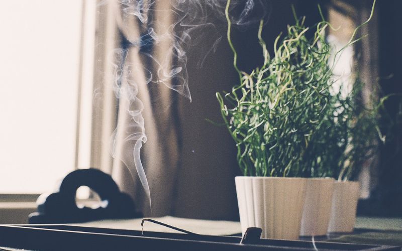 Lee más sobre el artículo Inciensos del mundo: Aromas que transportan a distintos destinos