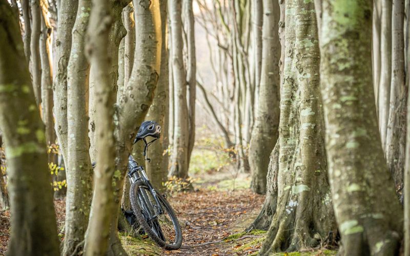 Lee más sobre el artículo Viajar en bicicleta por Europa: Rutas y consejos