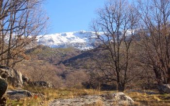 Lee más sobre el artículo 5 pueblos para una escapada perfecta en Castilla y León