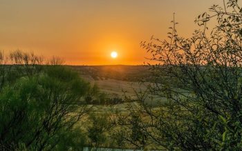 Lee más sobre el artículo Turismo rural: Experiencia en fincas rústicas en Madrid y Toledo