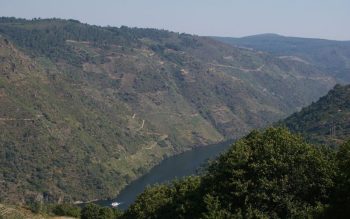 Lee más sobre el artículo 5 experiencias inolvidables que hacer en Galicia
