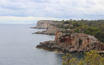 Lee más sobre el artículo ¿Por qué el invierno es una época perfecta para visitar Mallorca?