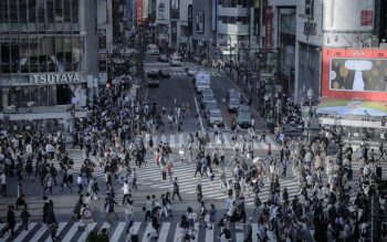 Lee más sobre el artículo Lugares que ver en Japón en tu primer viaje