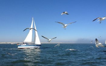Lee más sobre el artículo Curso de vela ligera – Iniciarse en la navegación para poder coger un barco durante las vacaciones
