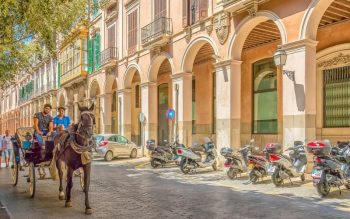 Lee más sobre el artículo ¿Cómo preparar una vivienda para el alquiler vacacional en Mallorca?