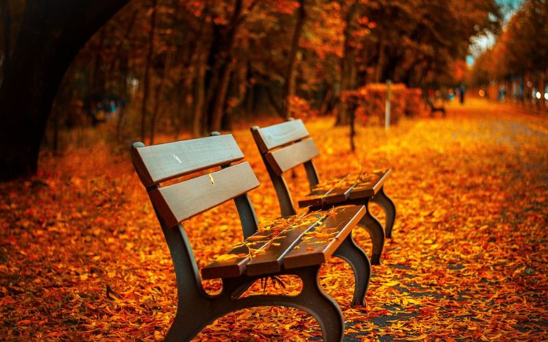 Lee más sobre el artículo Las ventajas de viajar fuera de temporada