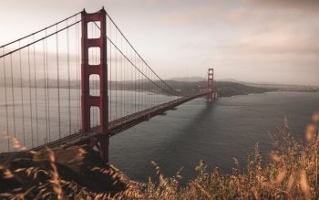 Lee más sobre el artículo Consejos para viajar a la costa oeste EEUU – Lugares imprescindibles que visitar