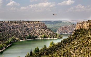 Lee más sobre el artículo Rutas y paisajes de Segovia: El lado más salvaje de la Segovia rural