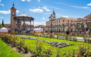 Lee más sobre el artículo 10 razones para visitar Alcalá de Henares más allá de su Universidad