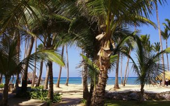 Lee más sobre el artículo 7 beneficios de viajar a Punta Cana en septiembre