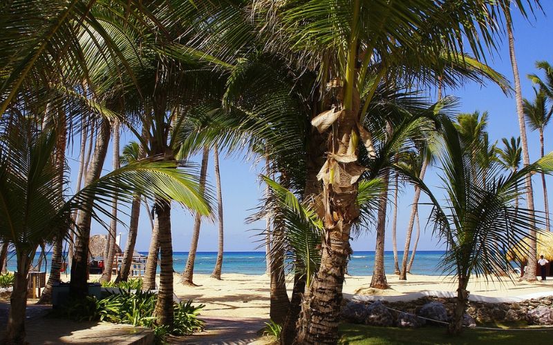 Lee más sobre el artículo 7 beneficios de viajar a Punta Cana en septiembre
