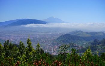 Lee más sobre el artículo El atractivo de mudarse a Canarias
