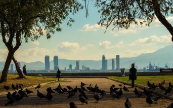 Lee más sobre el artículo 10 experiencias que hacer en Esmirna