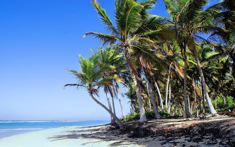 Lee más sobre el artículo Resorts Sirenis: Bodas de ensueño, diversión en familia y relax en el Caribe o Ibiza