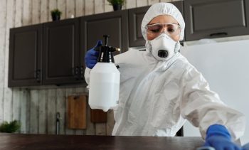 Lee más sobre el artículo Preparar un alojamiento vacacional: Limpieza, confort y control de plagas