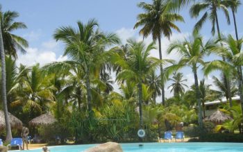 Lee más sobre el artículo Grand Sirenis Punta Cana Resort, el destino perfecto para las familias