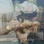 ¿Por qué casarse en Barcelona? – La ciudad donde tu boda se convierte en un recuerdo para siempre