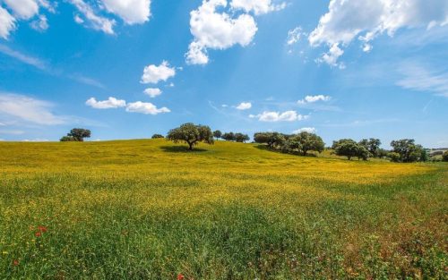 Ruta De 4 Días Por La Costa De Alentejo