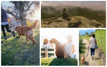 Lee más sobre el artículo Turismo con mascotas – Tendencias en España para 2026