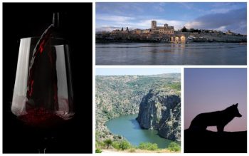 Lee más sobre el artículo Una guía completa para descubrir la provincia de Zamora, una tierra de historia y naturaleza