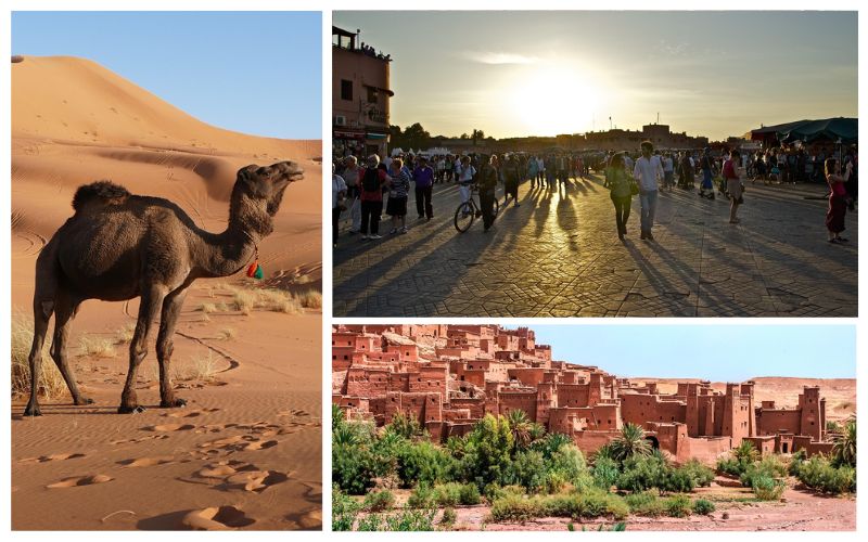 Lee más sobre el artículo Viaje al desierto de Marruecos desde Marrakech