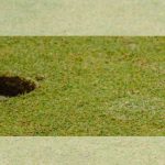 Turismo de golf en la Costa del Sol: una ruta entre Estepona, Marbella, Benahavís, Casares y Sotogrande