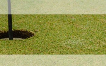 Lee más sobre el artículo Turismo de golf en la Costa del Sol: una ruta entre Estepona, Marbella, Benahavís, Casares y Sotogrande