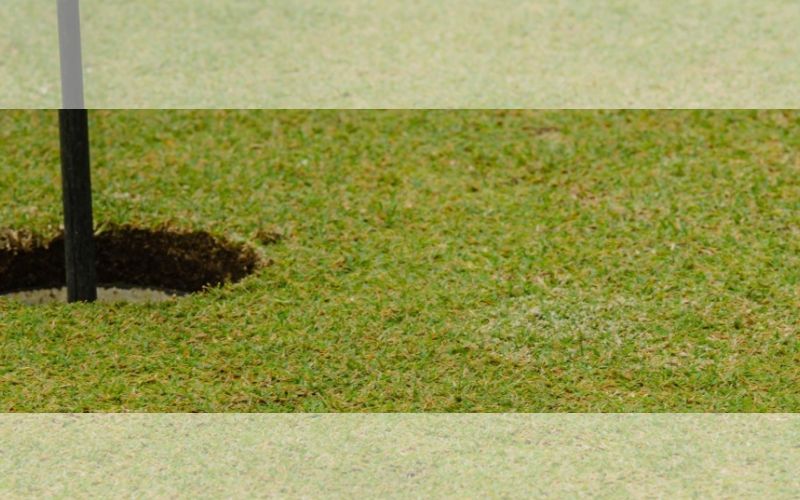 Lee más sobre el artículo Turismo de golf en la Costa del Sol: una ruta entre Estepona, Marbella, Benahavís, Casares y Sotogrande