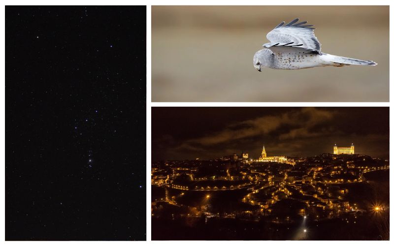 Lee más sobre el artículo Fin de semana romántico en la provincia de Toledo: Puy du Fou, la ciudad de Toledo y dormir en una suite burbuja en Guadamur
