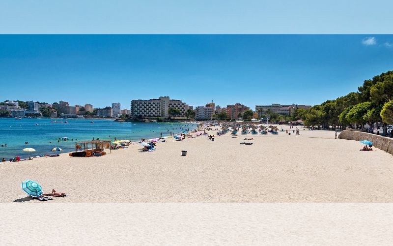 Lee más sobre el artículo Los 10 mejores parques temáticos de Mallorca para disfrutar en familia